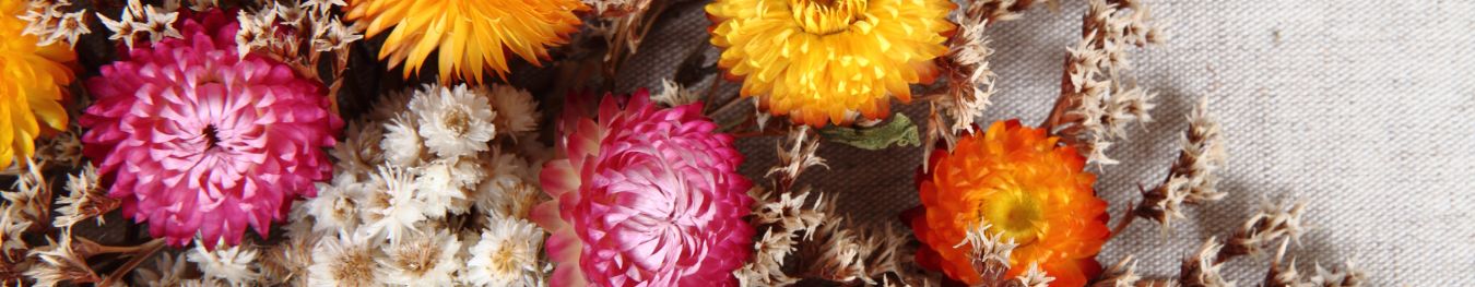 Dried Flower Bouquets