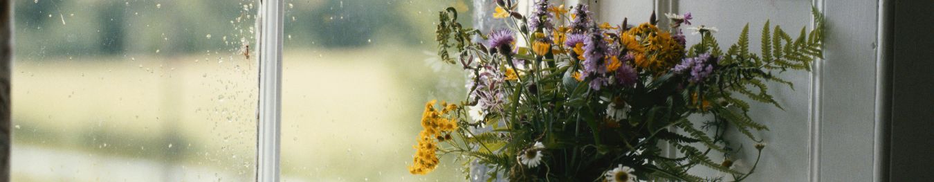 Dried & Preserved Flower Stems