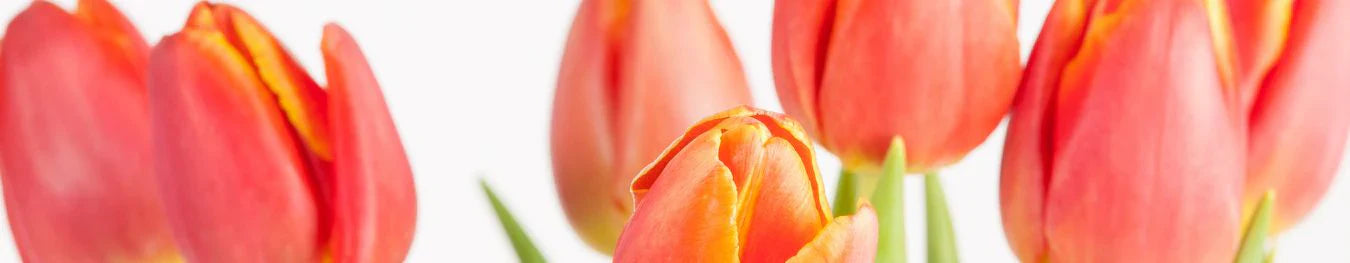 Silk Flower Bunches