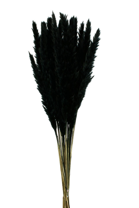 Pluma Decorativa - Black (50/60cm long, approx. 20pcs per pk)