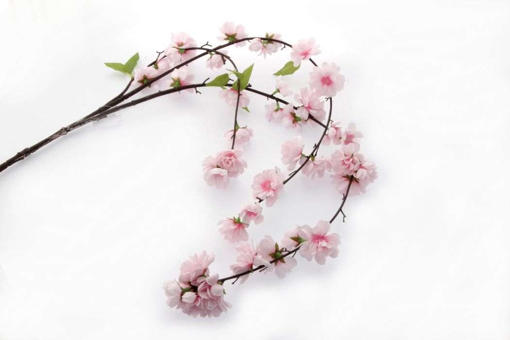 Large Cherry Blossom Spray - Cream (95cm Long)