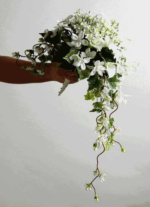 Stephanotis Pick - White & Green (30cm Height, 12Stems per pk)