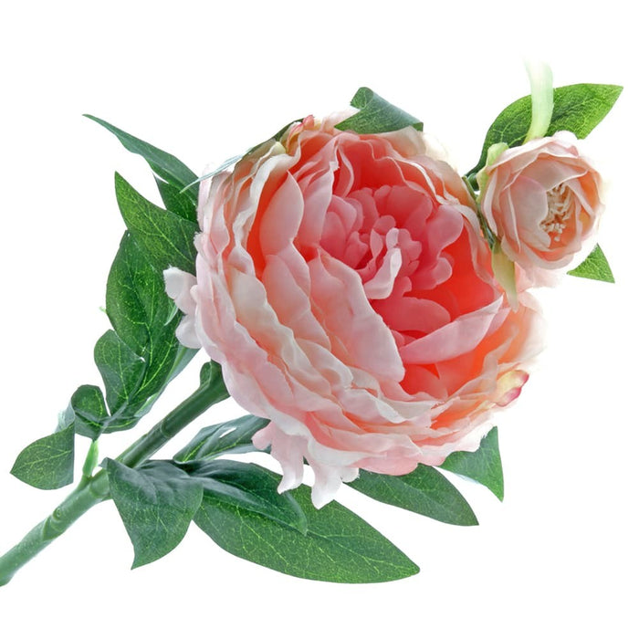 Peony - Pale Pink (1 flower & 1 bud, 64cm long)