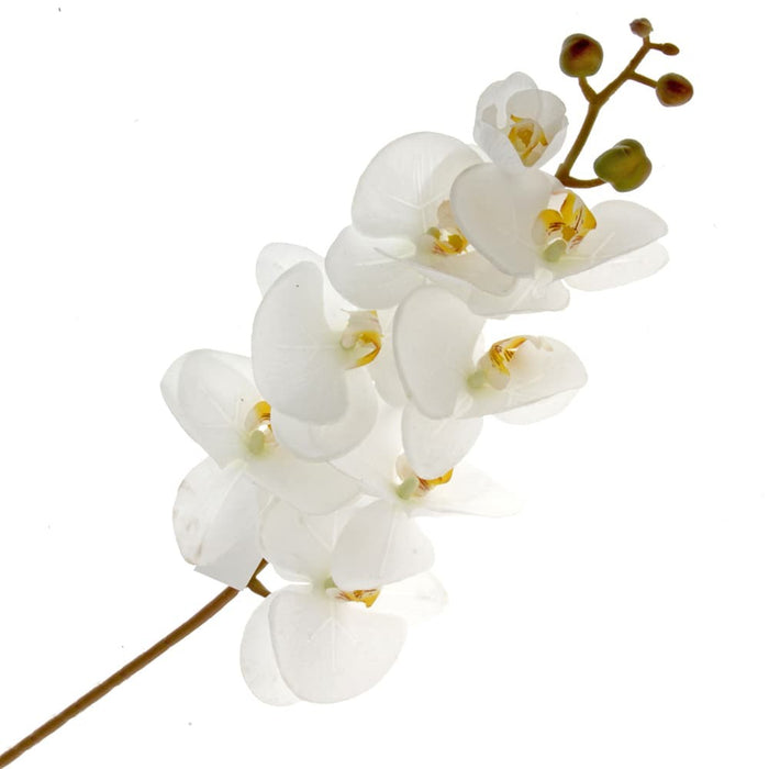 Real Touch Phalaenopsis Orchid - Cream (99cm long)