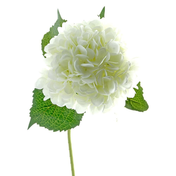 Single Hydrangea - White (19cm diameter, 82cm long)