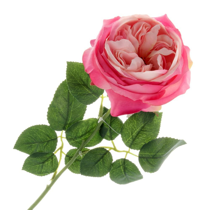 Garden Rose - Hot Pink (60cm long)