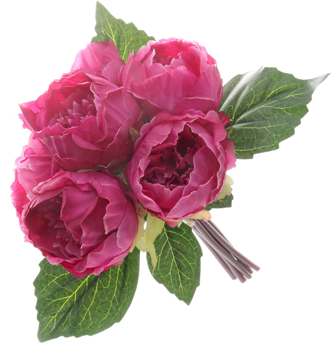 Peony Bush - Cerise (6 heads)