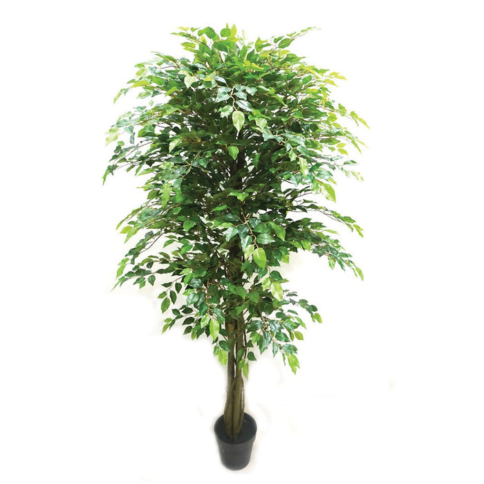 Real Touch Potted Ficus Tree - Natural  (180cm tall)