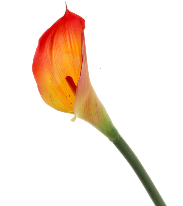 Real Touch Calla Lily - Red/Yellow (68cm long)