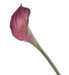 Real Touch Calla Lily - Dark Purple (68cm long)