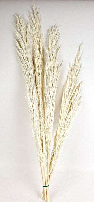 197255 Natural Long Raffia 250g.