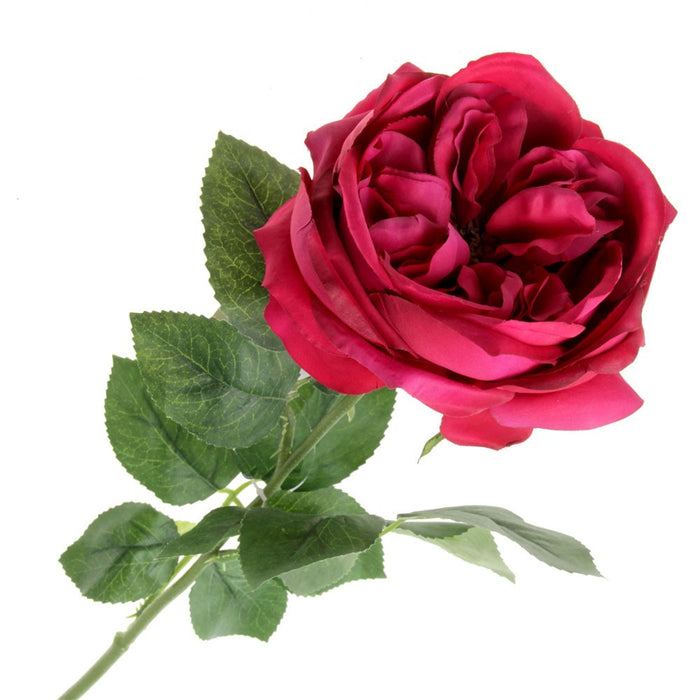 Garden Rose - Hot Pink (60cm long)