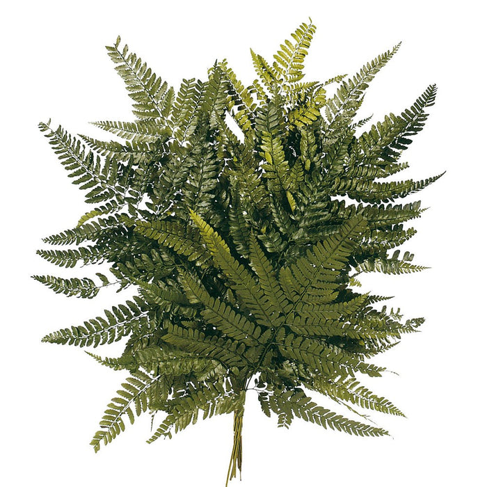 Preserved Leather Fern - Green (40cm tall, 10pcs per pk)