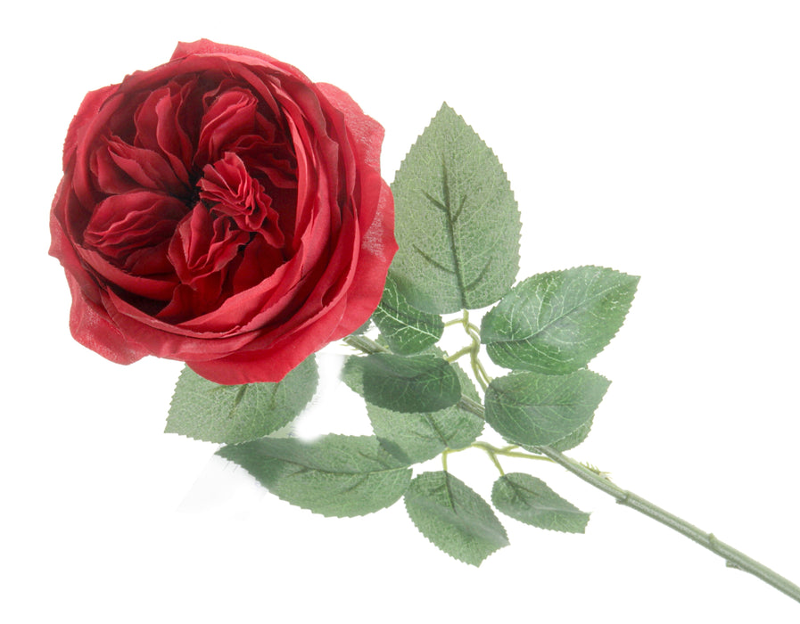 Garden Rose - Red (60cm long)