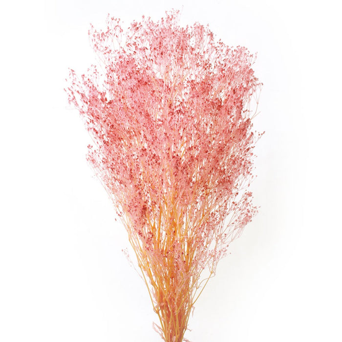 Preserved Gypsophilia - Light Pink (100g per pack, 60cm long)