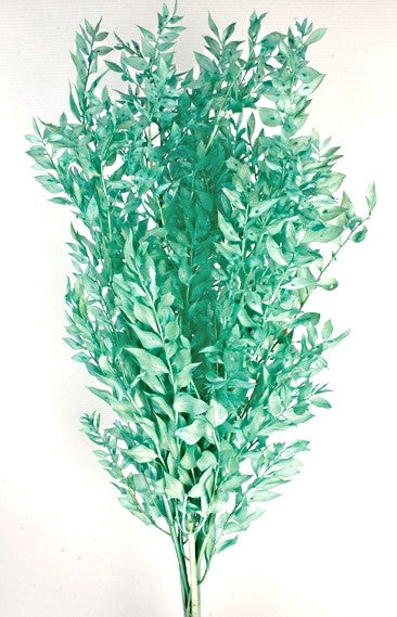 EUCALYPTUS BABY GREEN 60 - 75CM