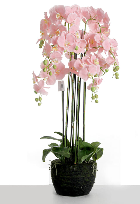 Real touch orchids in moss pot - white (110cm tall, 9 stems)