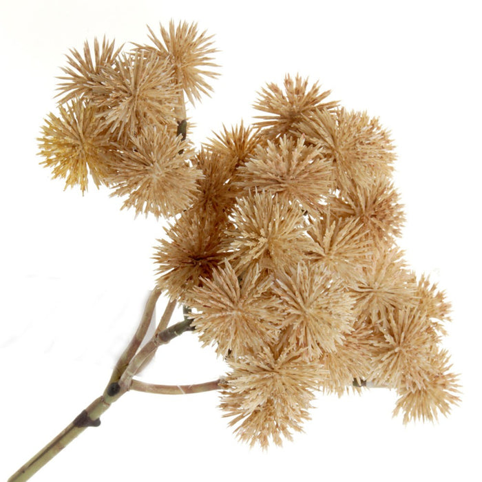 Echinops Bush - Beige/Cream (32 heads, 40cm long)