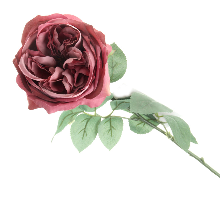 Garden Rose - Red (60cm long)