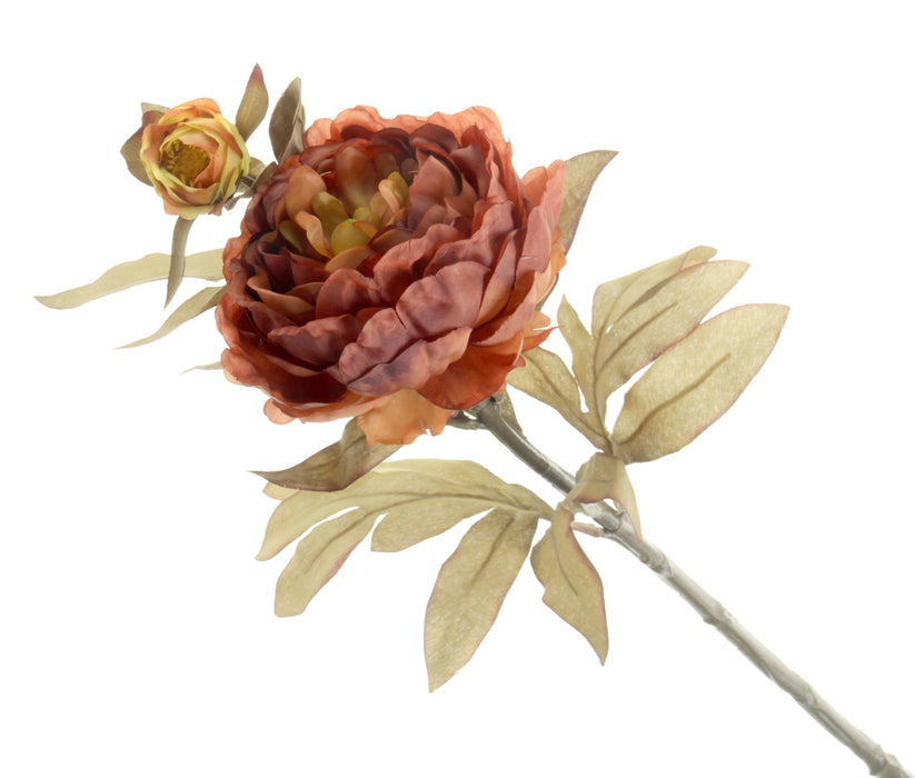 Peony - Cream/Pink (1 flower & 1 bud, 64cm long)