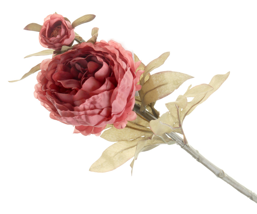 Peony - Cream/Pink (1 flower & 1 bud, 64cm long)