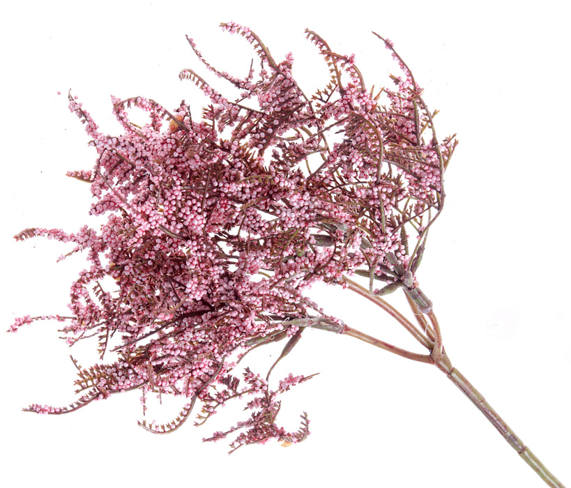 Limonium Bush - Pink (45cm long)