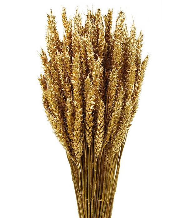 Wheat - Natural (80cm tall, 200g)