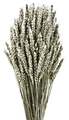 Wheat - Natural (80cm tall, 200g)