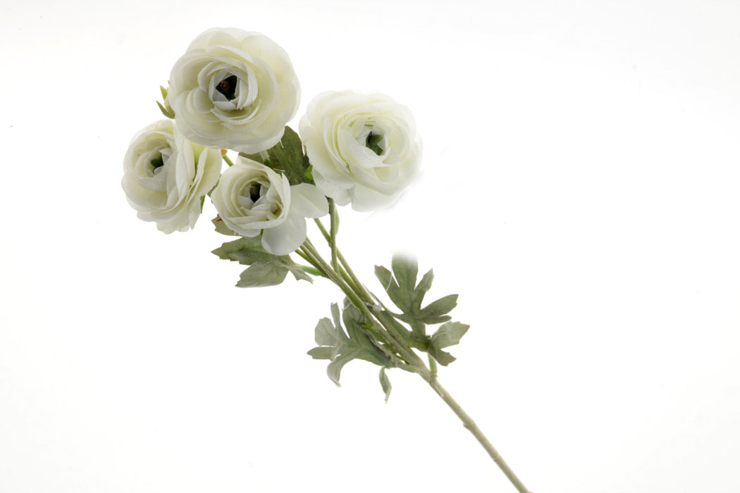 Mini Ranunculus Stem - Cream/Ivory (6 heads, 67cm long)