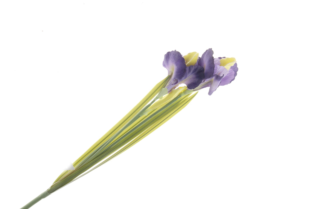 Iris Bunch - Purple & Yellow (3 heads, 63cm long)