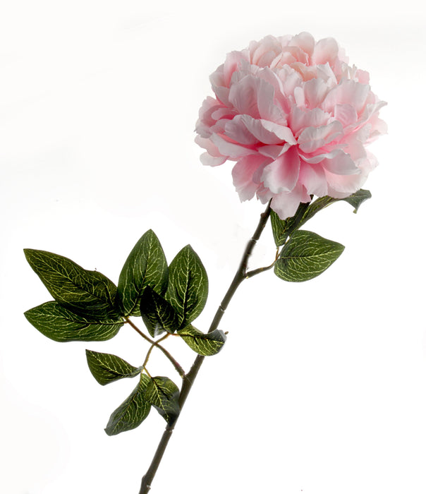 Large Peony - Pink (70cm long)