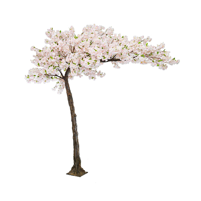 Cherry Blossom Tree - Cream (1.4m tall)