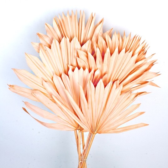 Sun Palm - Peach (6pcs per pk)