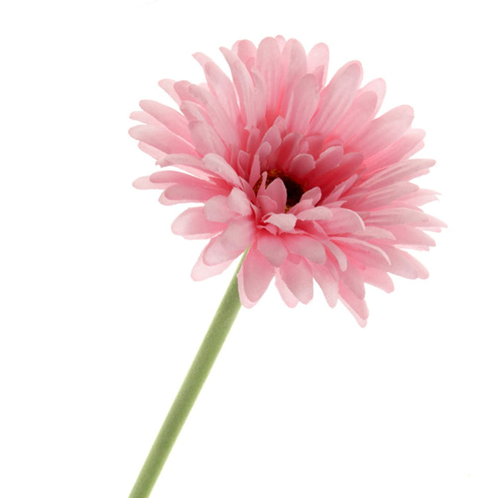 Single Gerbera - Pink (60cm long)