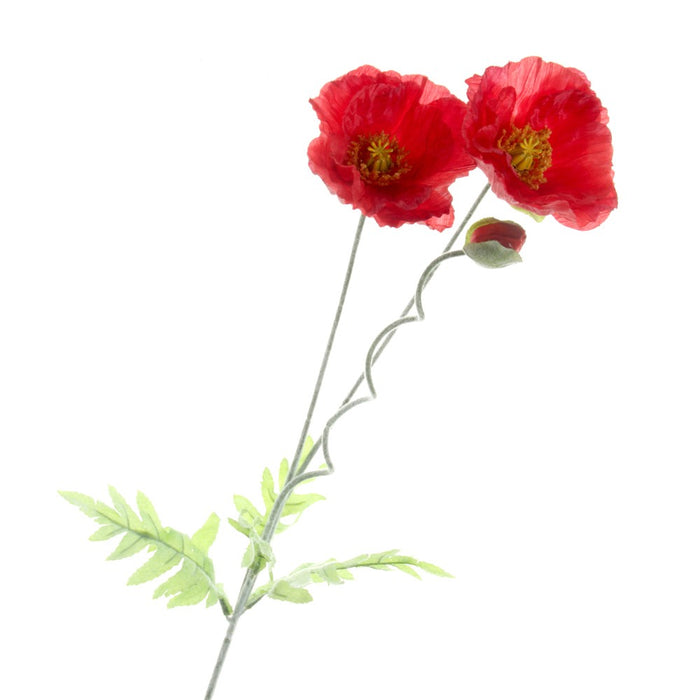 Large Poppy Stem - Red (2 heads & 1 bud, 70cm long)