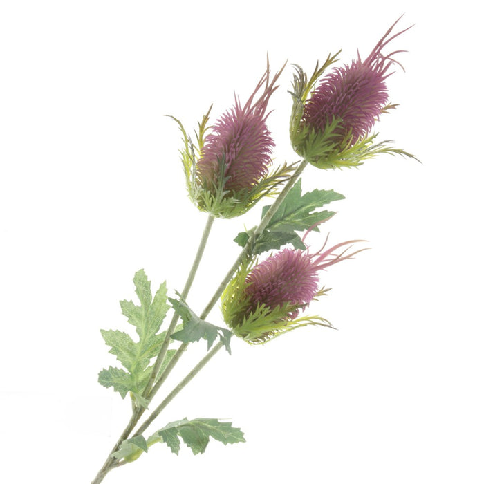 Eryngium Spray - Green/Purple (3 heads, 67cm long)