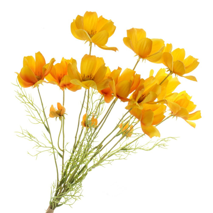 Coreopsis Bundle - Yellow (3 stems, 62cm long)