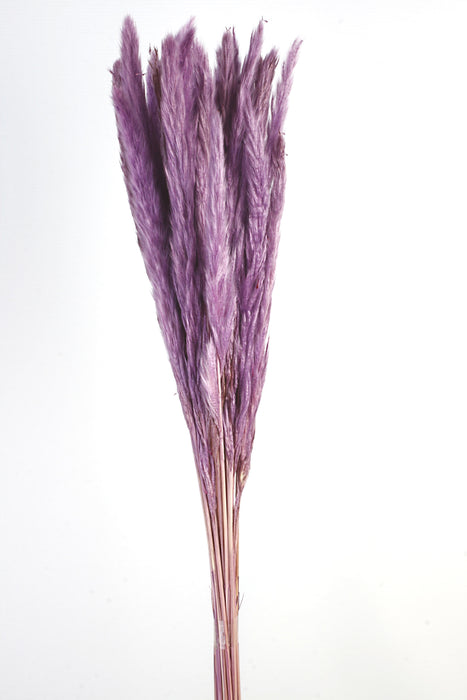 Pluma Decorativa - Lilac (50/60cm long, approx. 20pcs per pk)