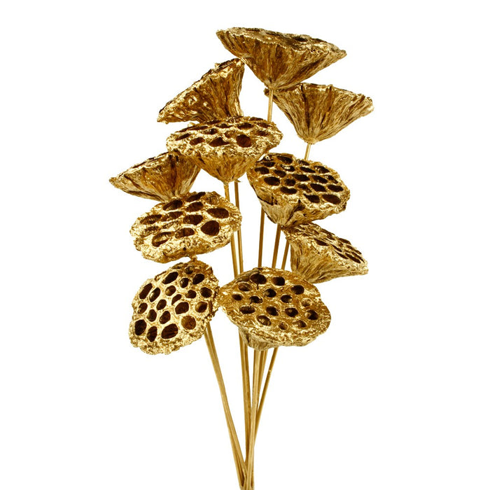 Large Lotus Heads On Sticks - Gold (40cmx6/8cm, 10 pcs per pk)