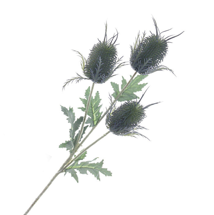 Eryngium Spray - Green/Pink (3 heads, 67cm long)