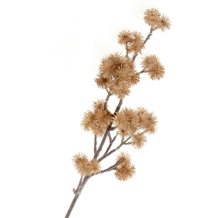 Echinops Spray - Brown (68cm long)