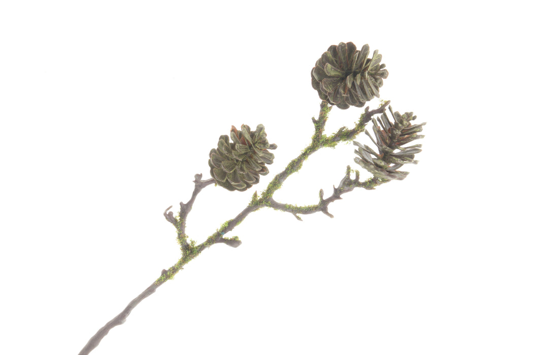 Mossed Pinecone Spray - Natural (40cm long, 3 pinecones)