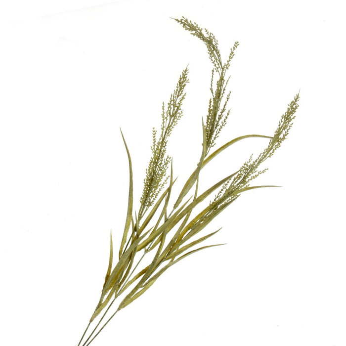 Wheat Spray - Green (78cm long, 3 heads)