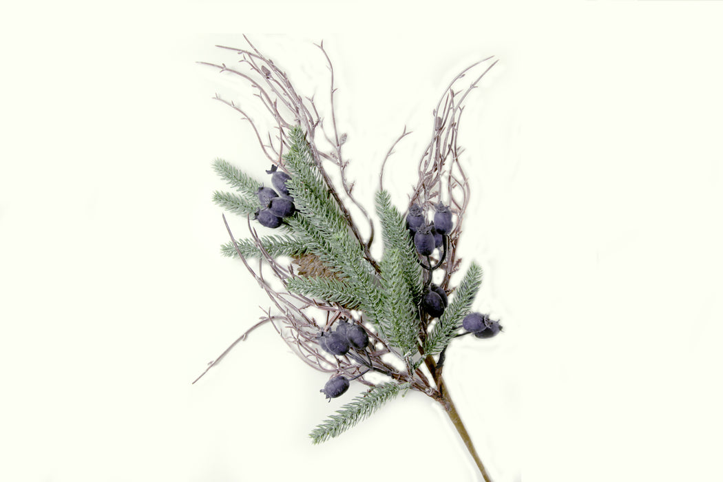 Large Blue Hips and Pine Cone Fern Spray - Natural (64cm long)