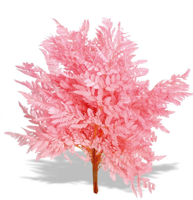 Preserved Leather Fern - Pink (40cm tall, 10pcs per pk)