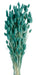 Phalaris - Teal (80cms long, 150g per pk)