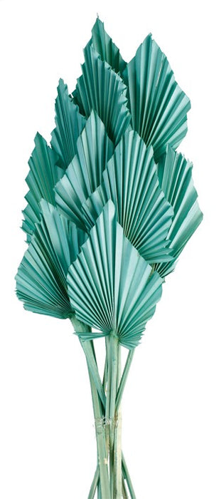 Palm Spear - Teal (10pcs per pk)