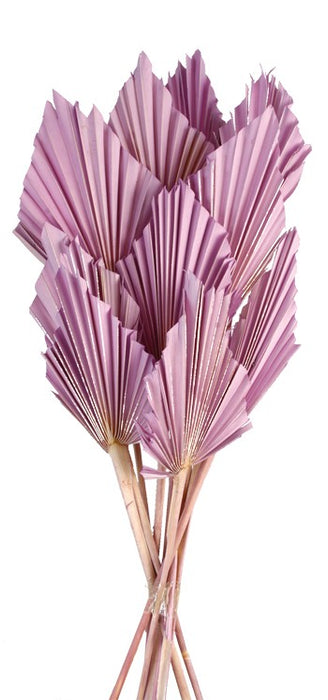 Palm Spear - Lilac (10pcs per pk)