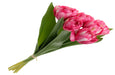 Bi-Coloured Double Tulip Bundle - Pink (6 heads, 40cm long)