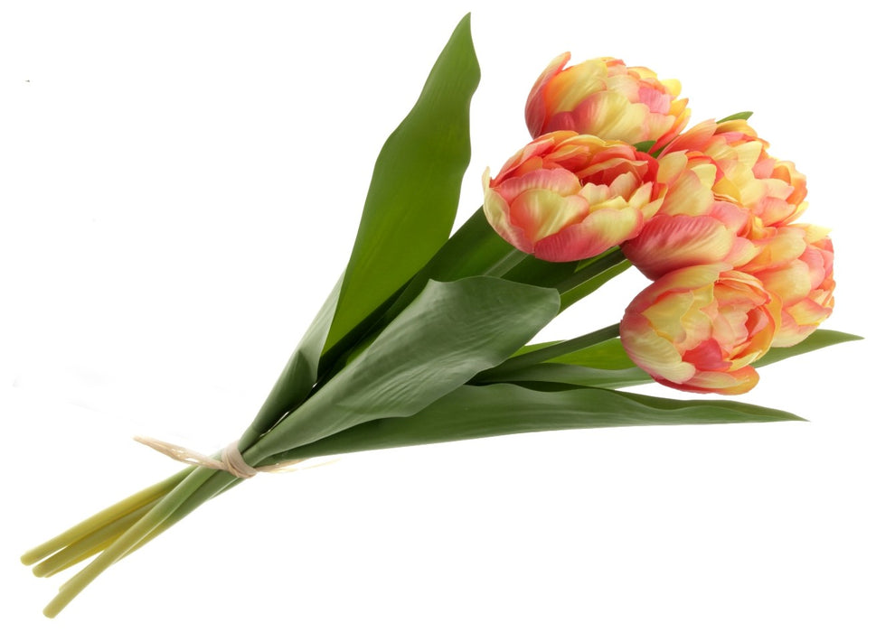 Bi-Coloured Double Tulip Bundle - Peach (6 heads, 40cm long)